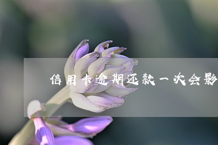 信用卡逾期还款一次会影响 信用卡逾期还款一次会影响
