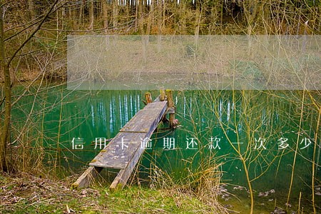 信用卡逾期还款一次多少利息 信用卡逾期还款一次多少利息