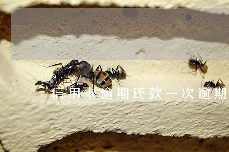 信用卡逾期还款一次逾期记录