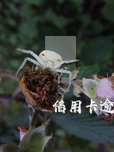 信用卡逾期还款三天会怎样