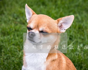 信用卡逾期还款上报人行怎么办