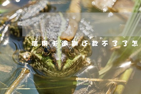 信用卡逾期还款不了了怎么办 信用卡逾期还款不了了怎么办