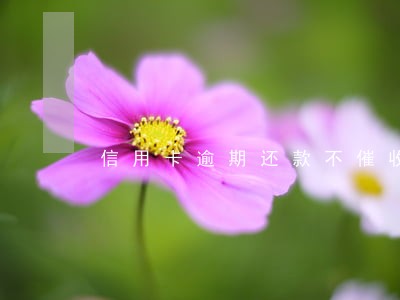信用卡逾期还款不催收 信用卡逾期还款不催收