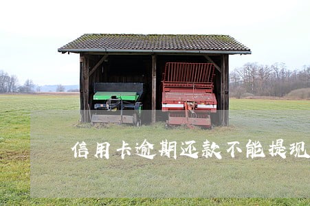 信用卡逾期还款不能提现