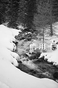 信用卡逾期还款与房贷 信用卡逾期还款与房贷
