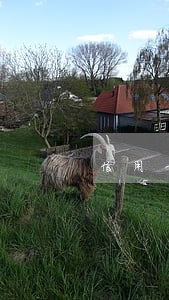 信用卡逾期还款两天会有什么影响 信用卡逾期还款两天会有什么影响