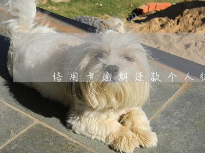 信用卡逾期还款个人征信