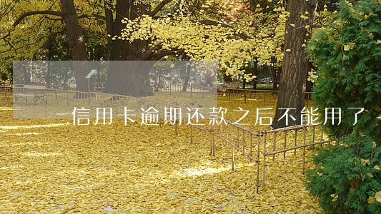 信用卡逾期还款之后不能用了 信用卡逾期还款之后不能用了
