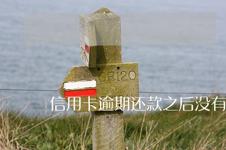 信用卡逾期还款之后没有额度