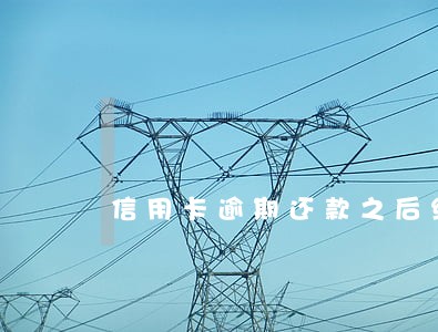 信用卡逾期还款之后继续使用 信用卡逾期还款之后继续使用