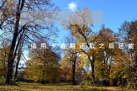 信用卡逾期还款之后还能使用吗