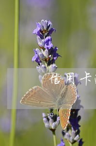信用卡逾期还款买房 信用卡逾期还款买房