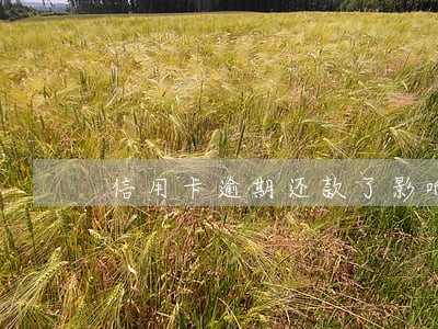 信用卡逾期还款了影响工作吗