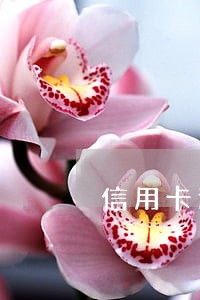 信用卡逾期还款了征信会留记录么