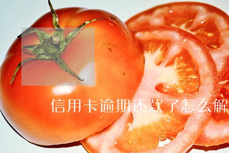 信用卡逾期还款了怎么解决 信用卡逾期还款了怎么解决
