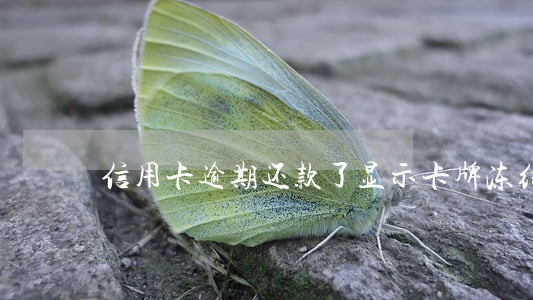 信用卡逾期还款了显示卡牌冻结 信用卡逾期还款了显示卡牌冻结