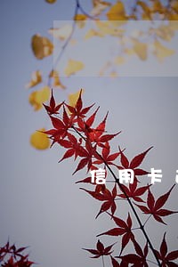 信用卡逾期还款了没还够 信用卡逾期还款了没还够