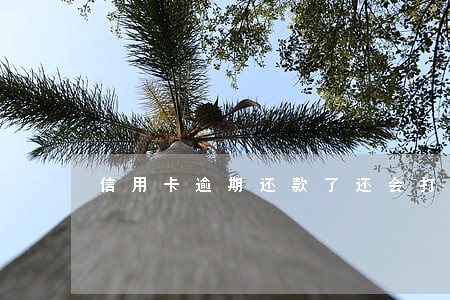 信用卡逾期还款了还会打电话吗 信用卡逾期还款了还会打电话吗