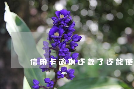 信用卡逾期还款了还能使用吗 信用卡逾期还款了还能使用吗