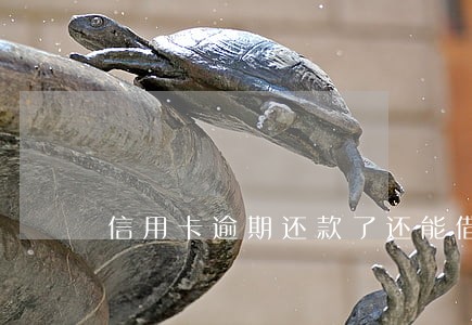 信用卡逾期还款了还能借吗