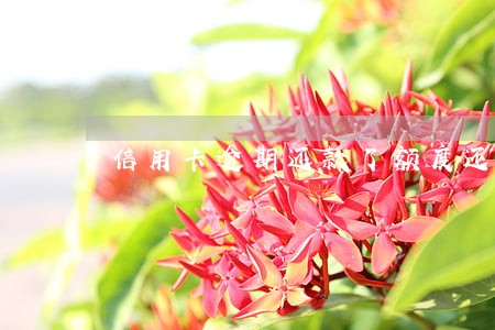信用卡逾期还款了额度还能用吗 信用卡逾期还款了额度还能用吗