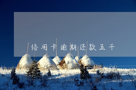 信用卡逾期还款五千 信用卡逾期还款五千