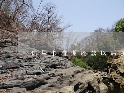 信用卡逾期还款以后多久可以刷 信用卡逾期还款以后多久可以刷