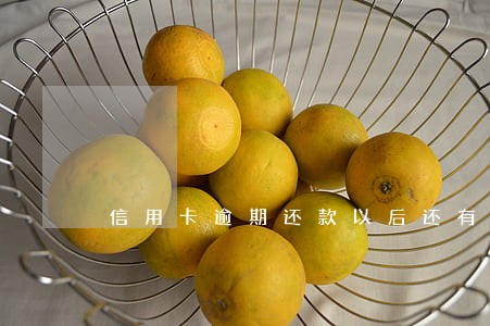 信用卡逾期还款以后还有额度吗 信用卡逾期还款以后还有额度吗