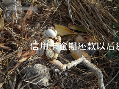 信用卡逾期还款以后还能使用卡吗