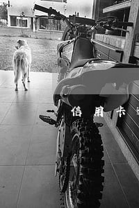 信用卡逾期还款优先抵利息