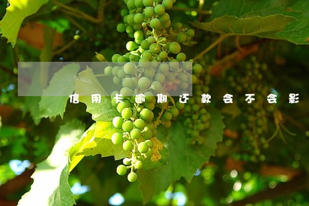 信用卡逾期还款会不会影响房贷 信用卡逾期还款会不会影响房贷