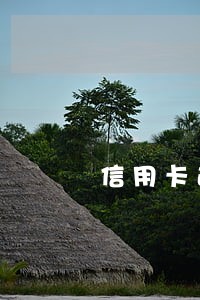 信用卡逾期还款会冻结卡吗
