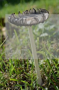 信用卡逾期还款会坐牢 信用卡逾期还款会坐牢
