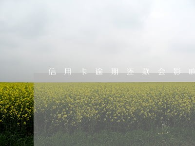 信用卡逾期还款会影响政审吗 信用卡逾期还款会影响政审吗