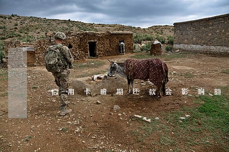 信用卡逾期还款会影响额度吗6