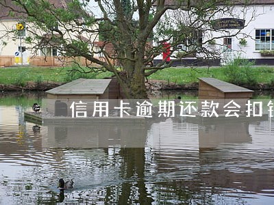 信用卡逾期还款会扣钱吗 信用卡逾期还款会扣钱吗