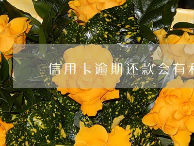 信用卡逾期还款会有利息