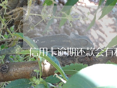 信用卡逾期还款会有利息吗 信用卡逾期还款会有利息吗