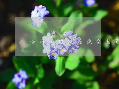 信用卡逾期还款会自己注销吗 信用卡逾期还款会自己注销吗