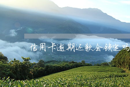 信用卡逾期还款会锁定吗 信用卡逾期还款会锁定吗