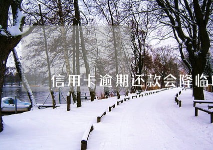信用卡逾期还款会降临时额度吗 信用卡逾期还款会降临时额度吗