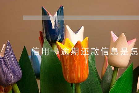 信用卡逾期还款信息是怎样的