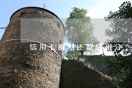 信用卡逾期还款信用分