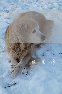 信用卡逾期还款信用记录 信用卡逾期还款信用记录