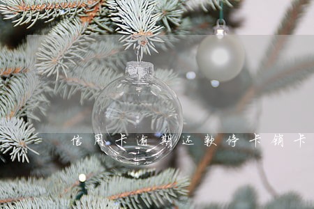 信用卡逾期还款停卡销卡 信用卡逾期还款停卡销卡
