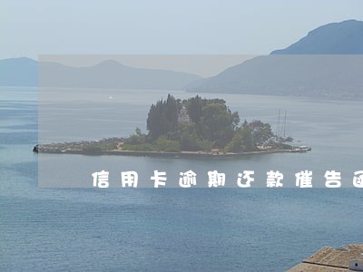 信用卡逾期还款催告函