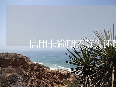 信用卡逾期还款先还哪一部分