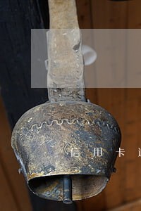 信用卡逾期还款免息