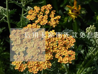 信用卡逾期还款免息还款多久销账 信用卡逾期还款免息还款多久销账
