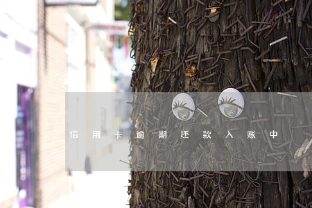 信用卡逾期还款入账中 信用卡逾期还款入账中